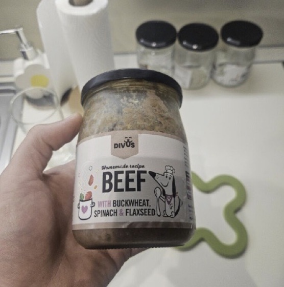 Borcan DIVUS cu vită în mână